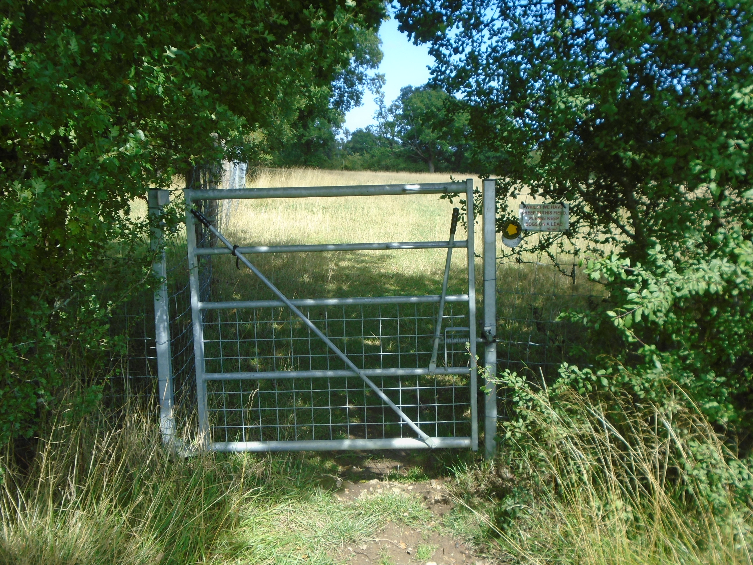 Pic 6