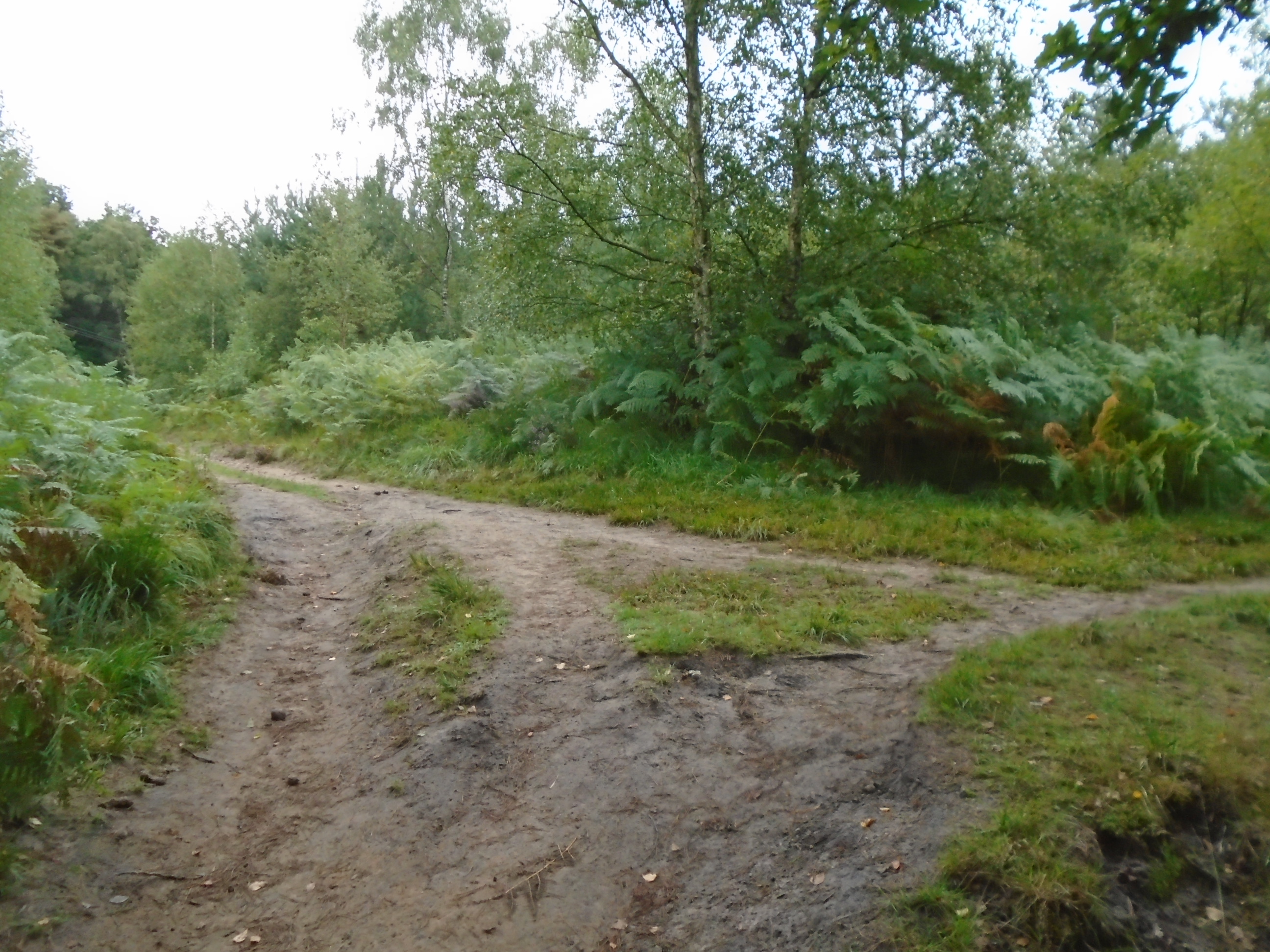 Bramshott Footpath No.59 – Links BOAT 38 to FP505 along the Headley ...