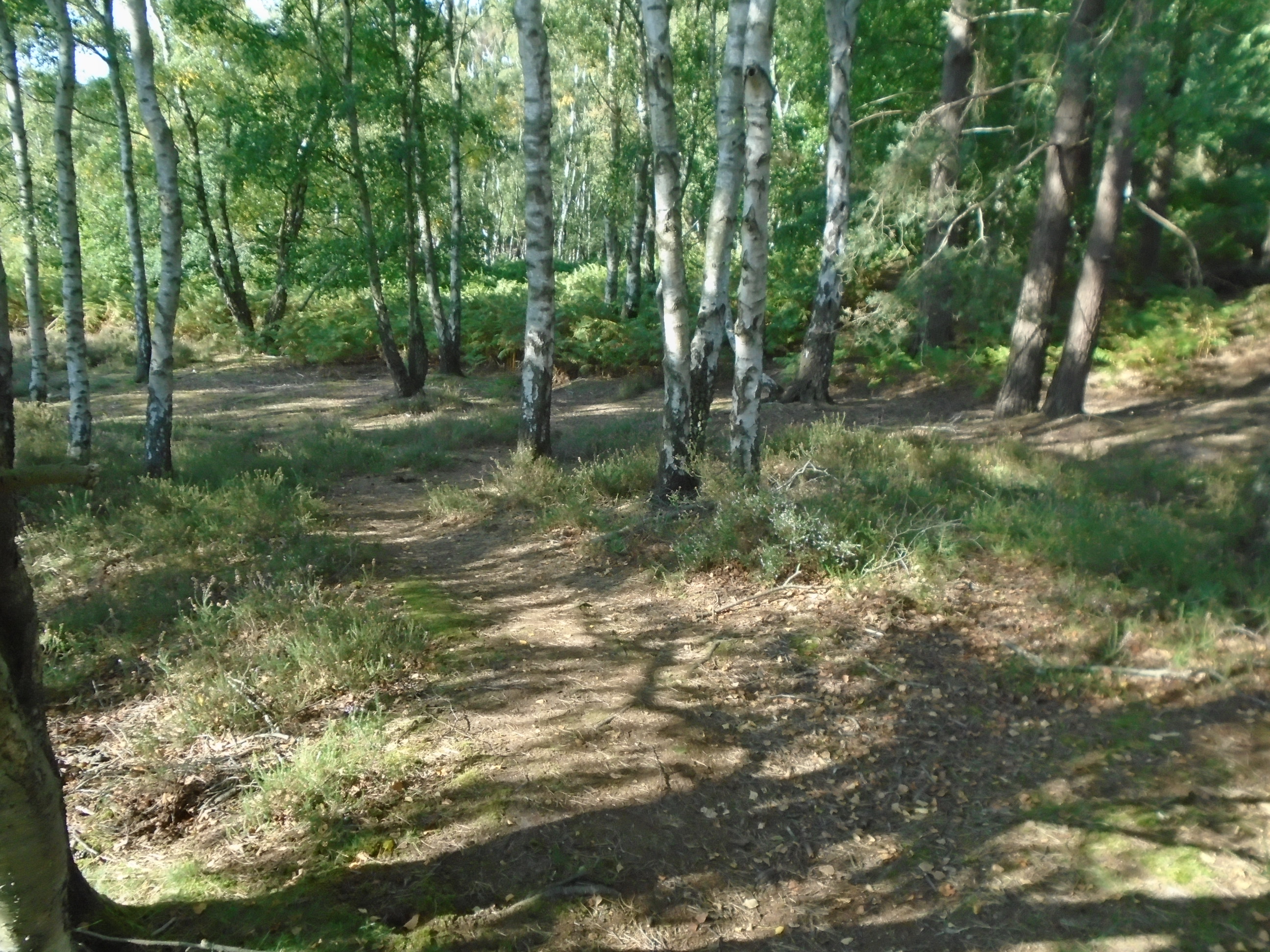 9a